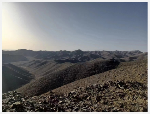 肃北杨岭铁多金属矿